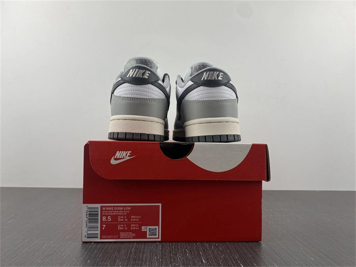 Nike Dunk Low Light Smoke Grey DD1503- Minimalist 4798