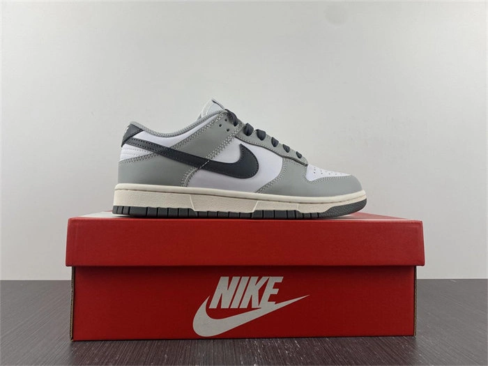 Nike Dunk Low Light Smoke Grey DD1503- Minimalist 4798