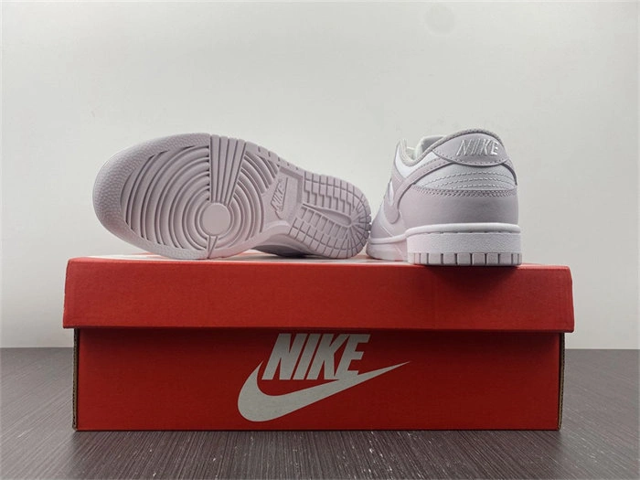 Nike Dunk Low Venice DD1503- Packable 4800