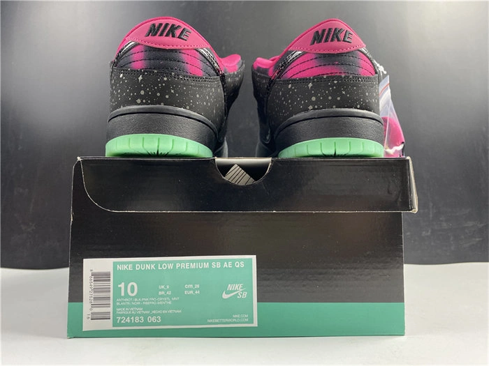 OdorResistant Nike Dunk SB Low Premier Northern Lights 724183- 4929